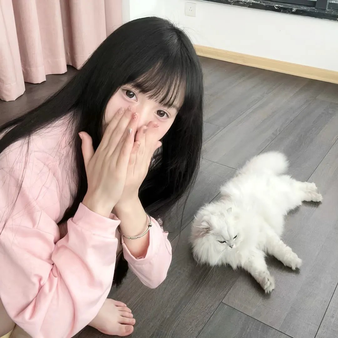 纸房子:全球热潮